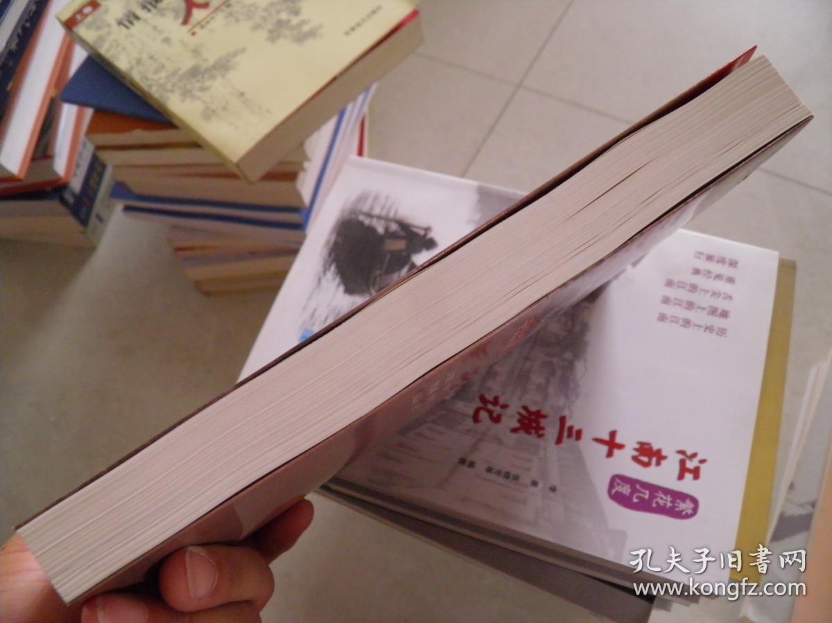 中南大剿匪纪实