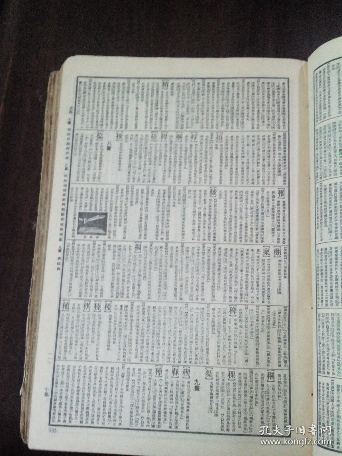 辞海 民国一本全