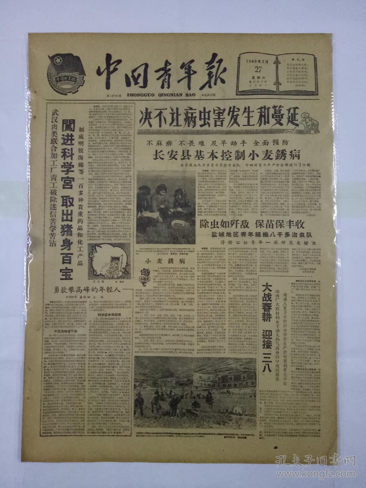 中国青年报1960年2月27日(4开四版)闯进科学宫 取出猪身百宝;决不让
