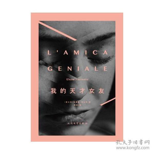 我的天才女友(意)埃莱娜.费兰特( elena ferrante) 著;陈英 译