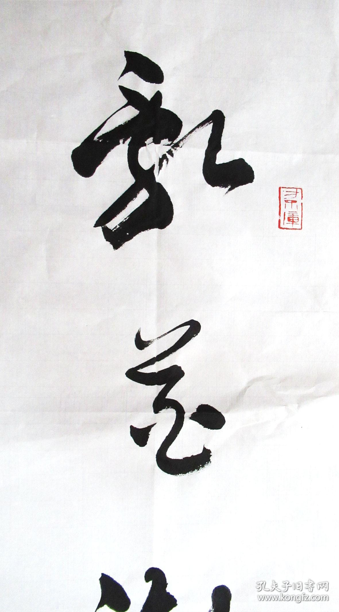 乱花渐欲迷人眼浅草才能没马蹄沈鹏草书七言联手写书法对联