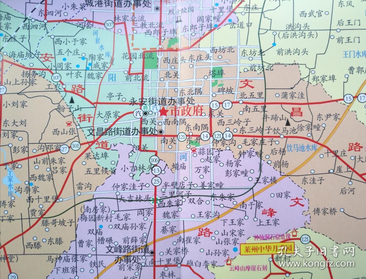 山东掖县地图图片