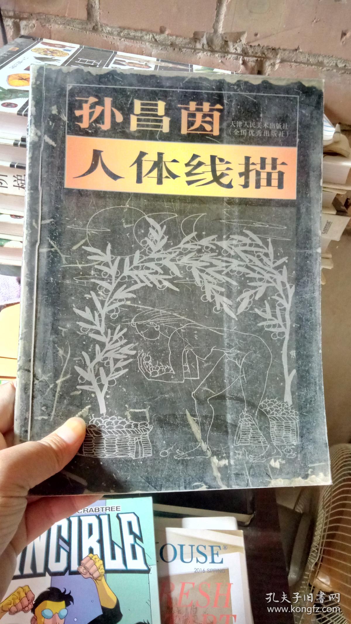 孙昌茵人体线描