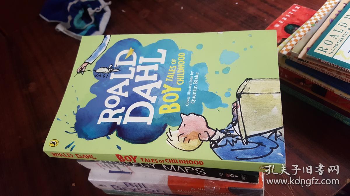 roald dahl boy