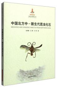 中国北方中：新生代昆虫化石