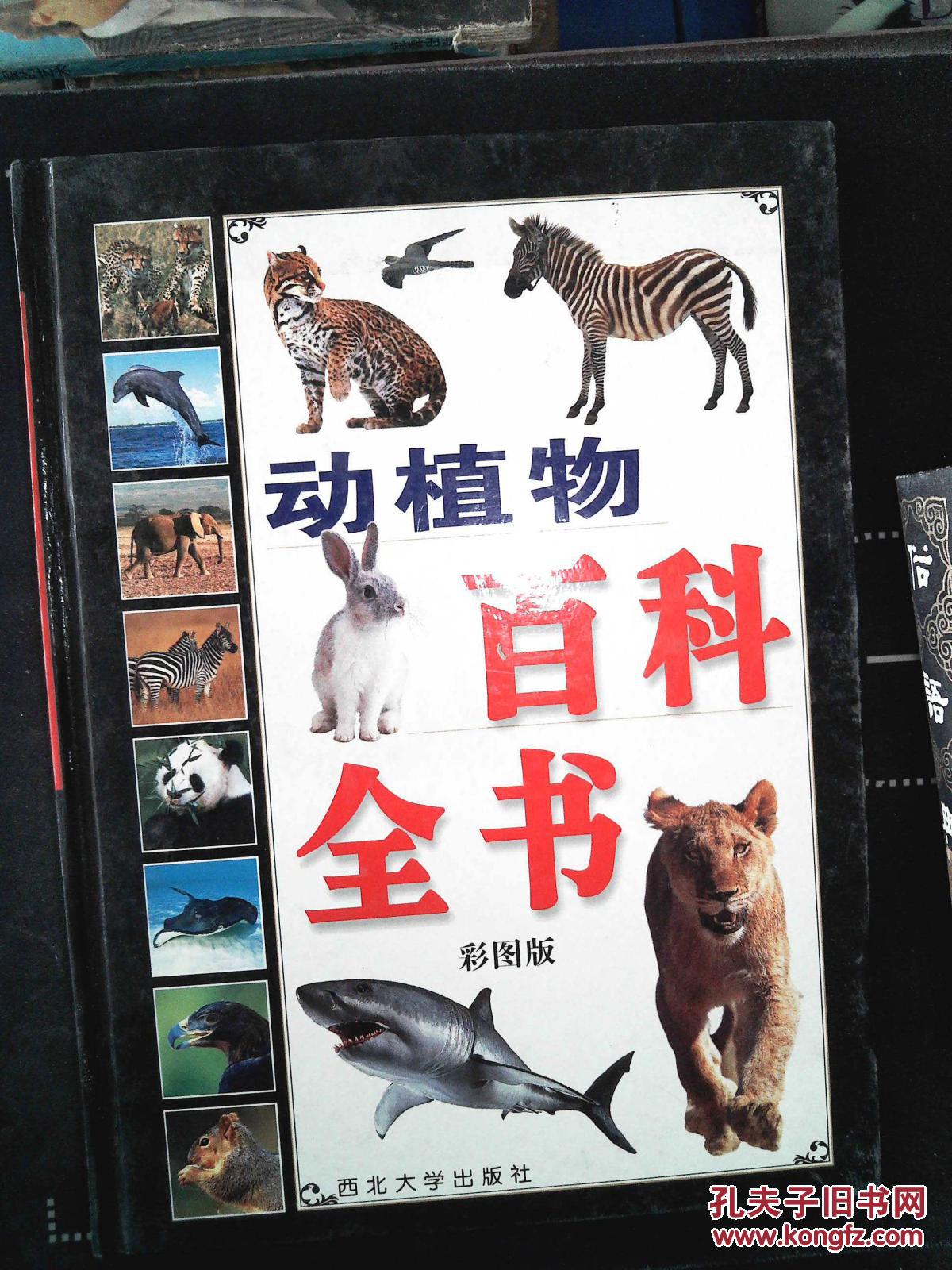 动植物百科全书(彩图版)