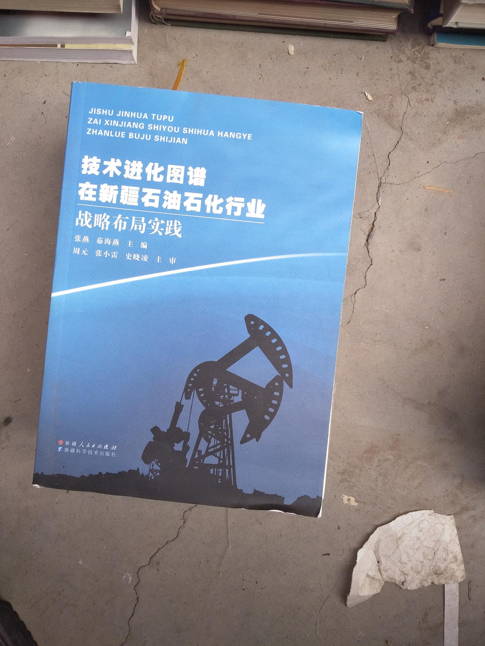 技术进化图谱在新疆石油石化行业战略布局实践