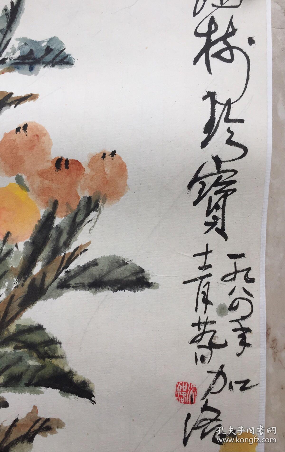 张加洛 枇芭