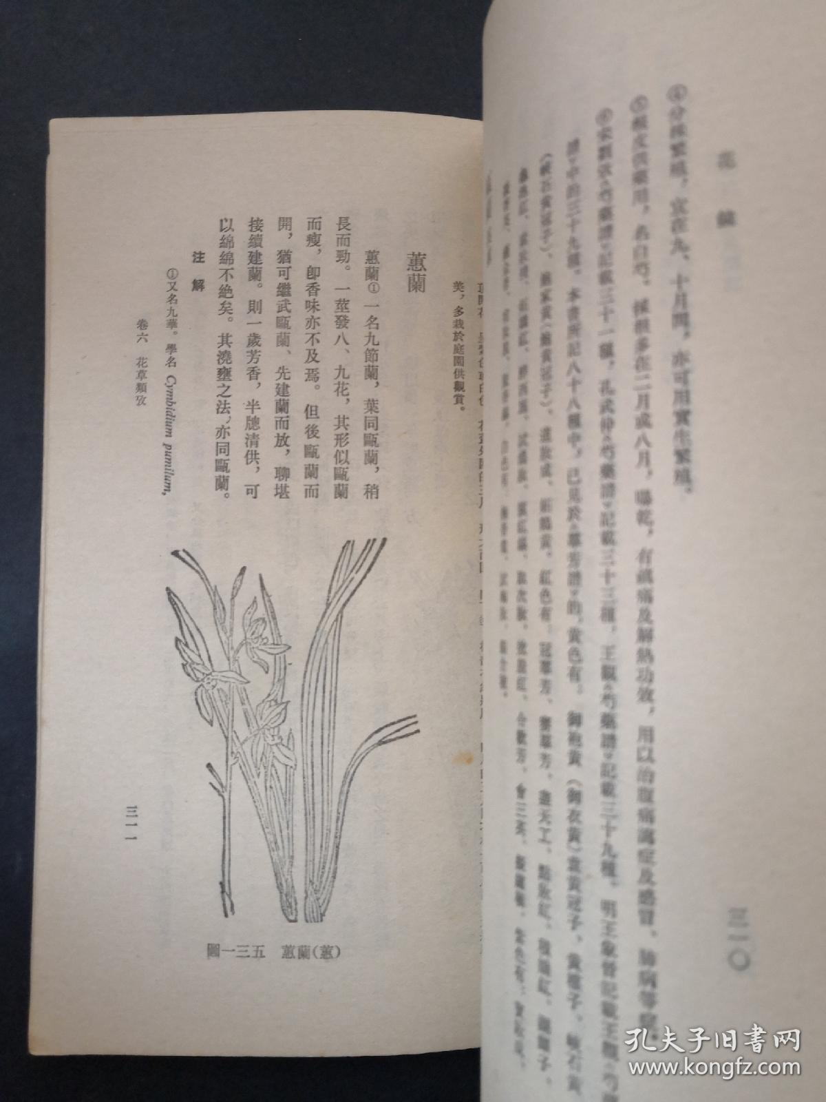 花镜 中国农书丛刊 园艺之部)_(清)陈淏子_孔夫子旧书网
