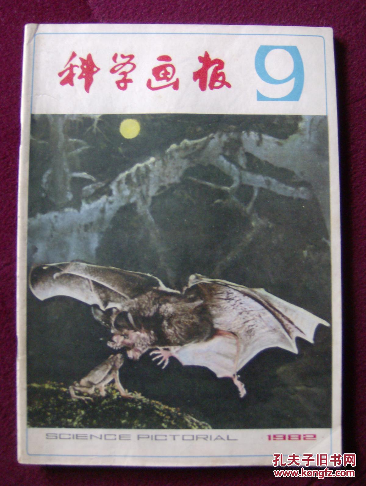 科学画报1982第9期