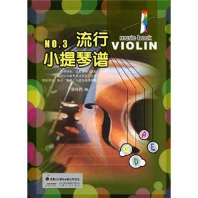 流行小提琴谱NO.3