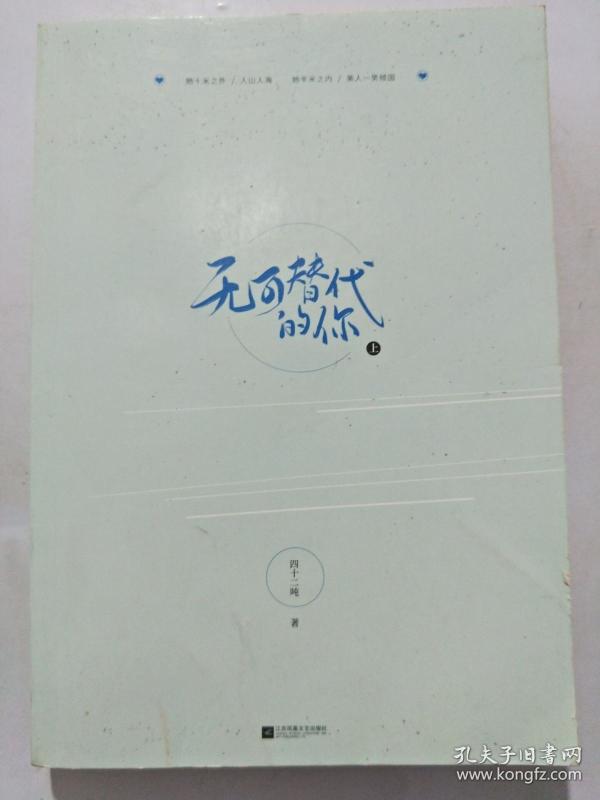 无可替代的你 上