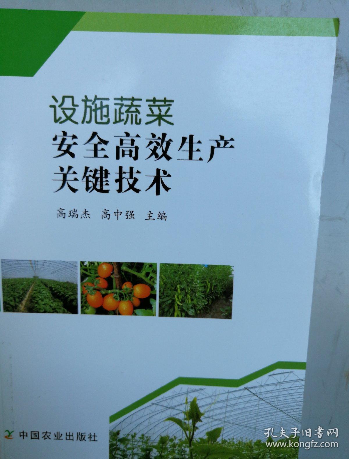 设施蔬菜安全高效生产关键技术