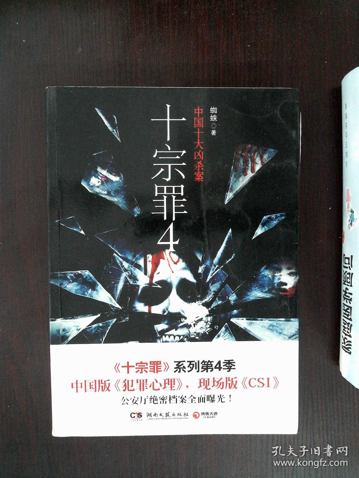 十宗罪 4:中国十大变态凶杀案