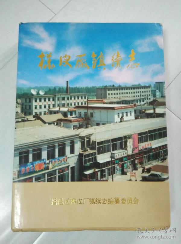桦皮厂镇续志