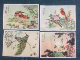 1954年7月全品老画片  《戈湘岚绘 ：孔雀、鸳鸯、锦鸡、白鹤】》四张合售