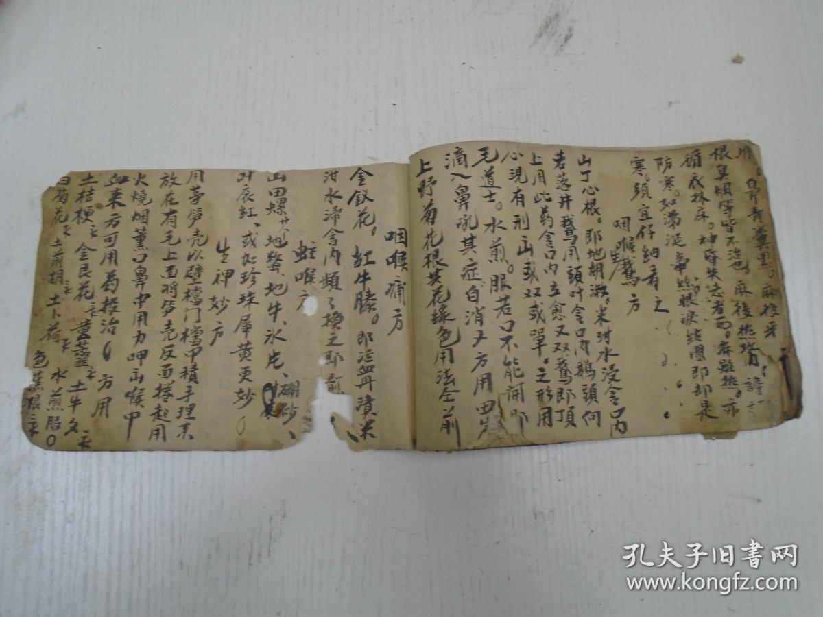 《小儿科草药方驚风此方不论何风皆可/治小儿恶煞方/小儿缚心頭方