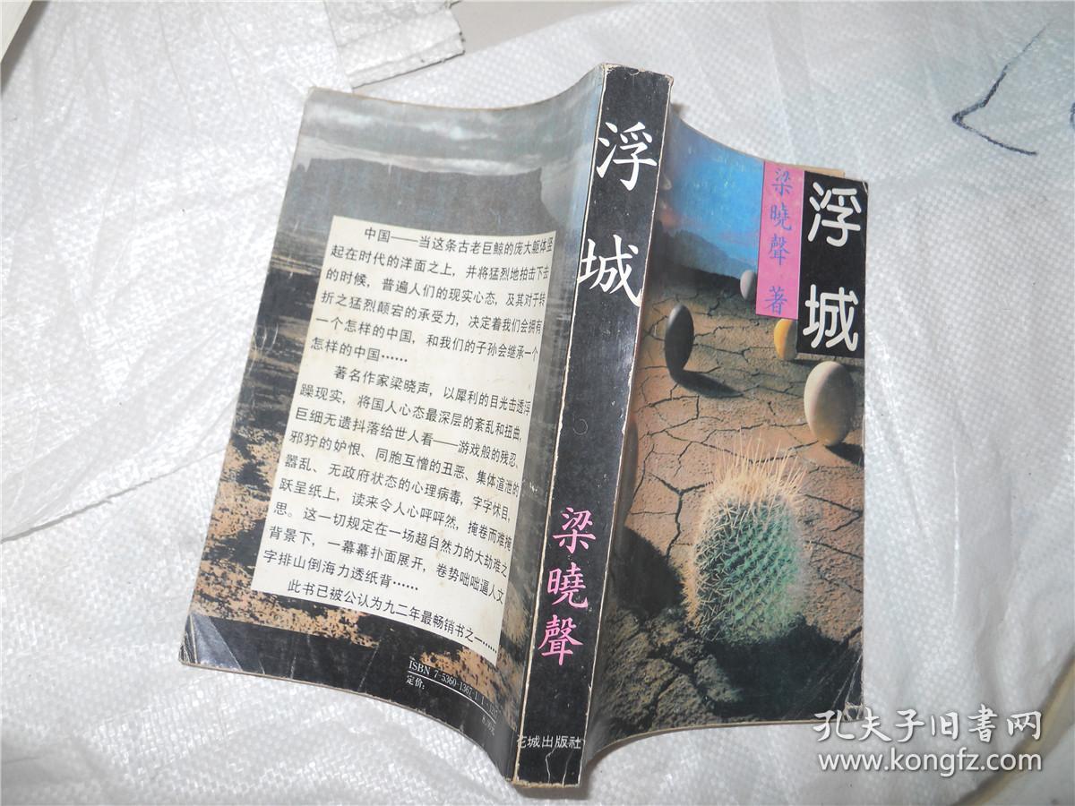 浮城(梁晓声 著)