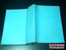 越汉辞典（1979年版）塑皮