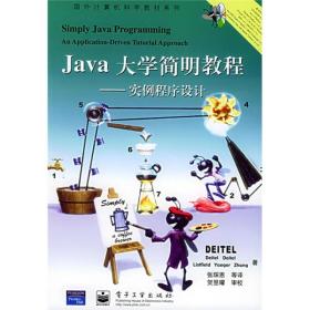 Java大学简明教程：实例程序设计