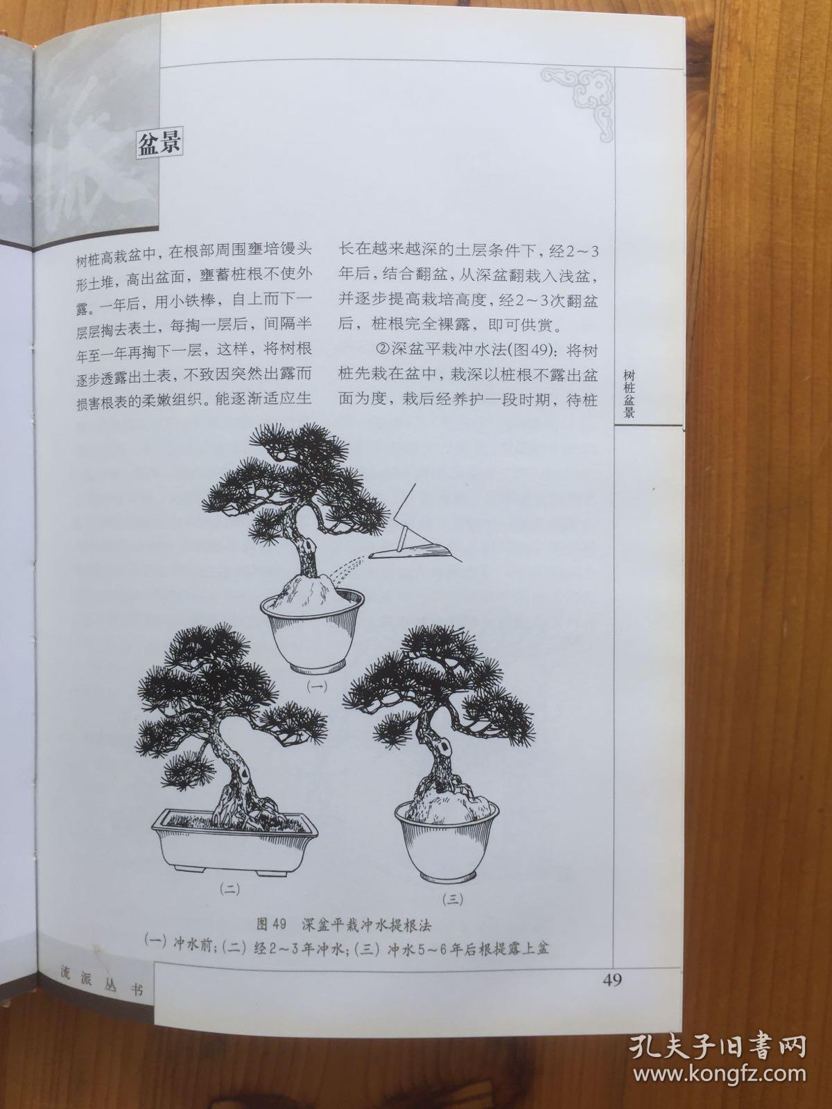 中国苏派盆景中国盆景流派丛书