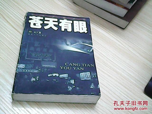 苍天有眼第二部苍天无泪