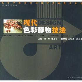 现代色彩静物技法/高等学校美术与设计专业教学丛书