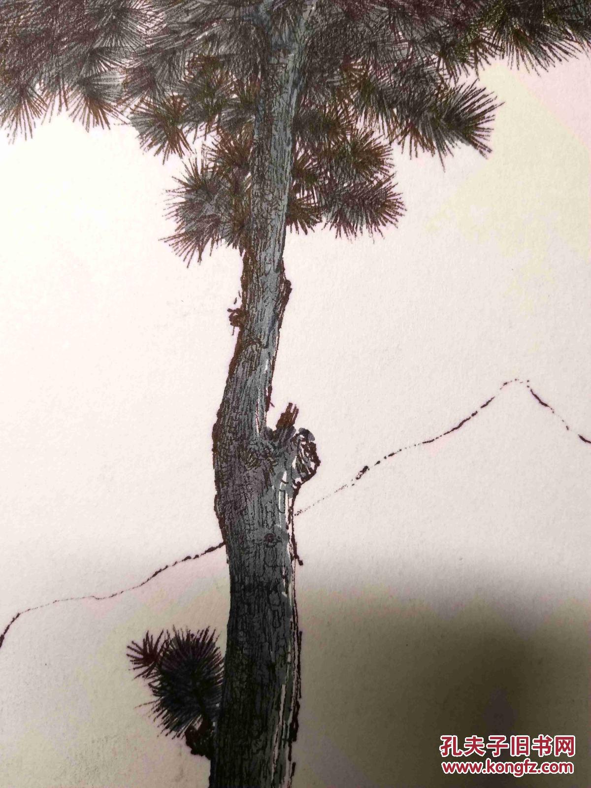 钢笔素描画稿原稿《松树》 拍品编号:29422106