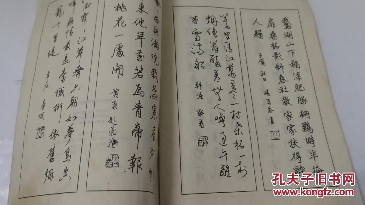 《钢笔行书唐诗绝句百首》16开_杨再春_孔夫子旧书网