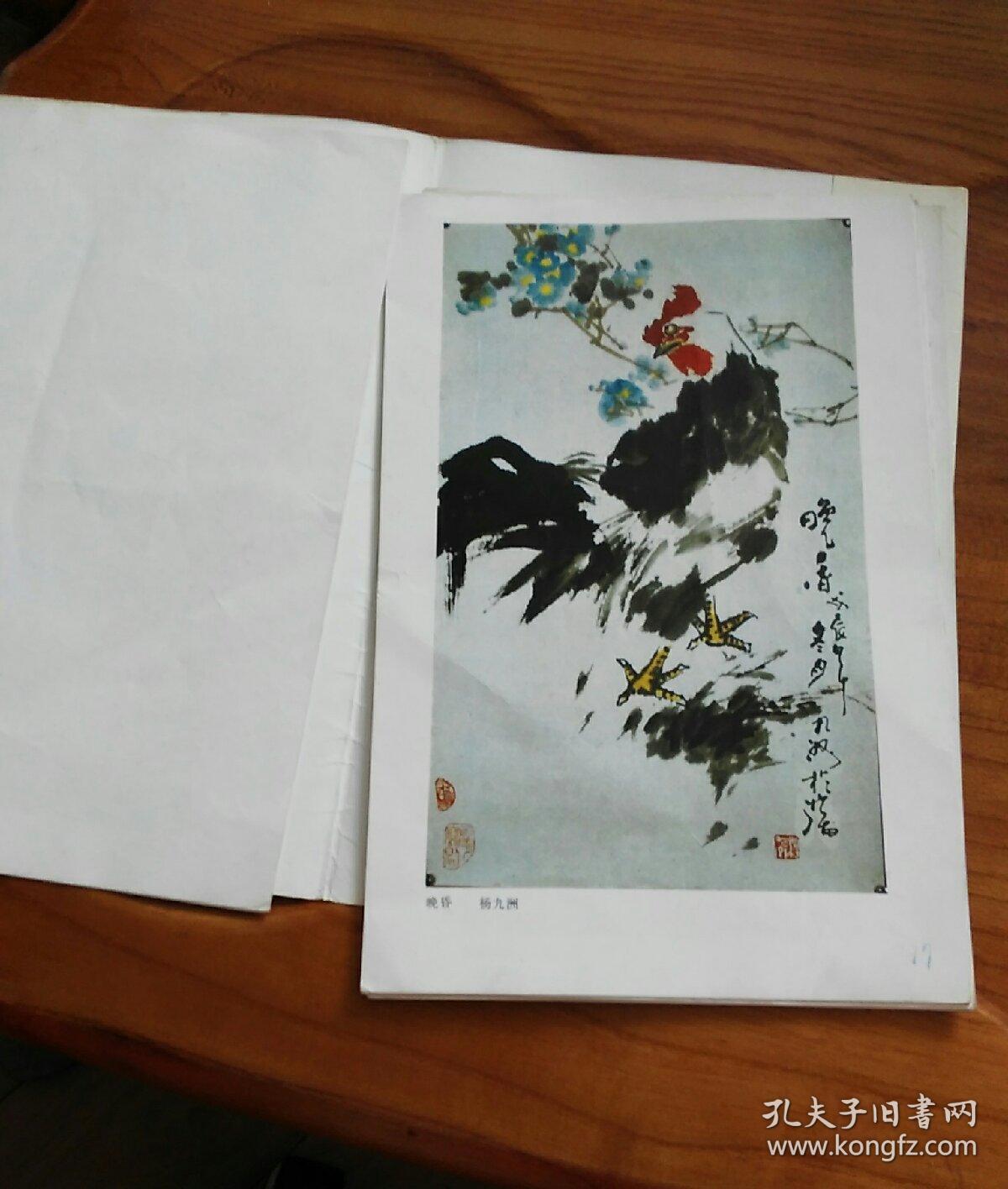 杨九洲花鸟画选集(19张)