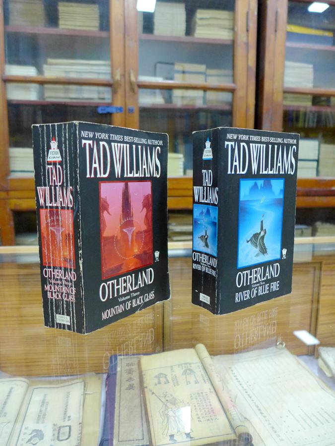 Otherland Volume2  3： River of Blue Fire  、 Mountain of Black Glass   by Tad Williams （英文原版  两册合售）