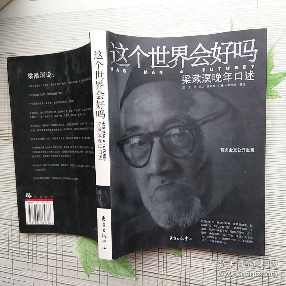 这个世界会好吗:梁漱溟晚年口述