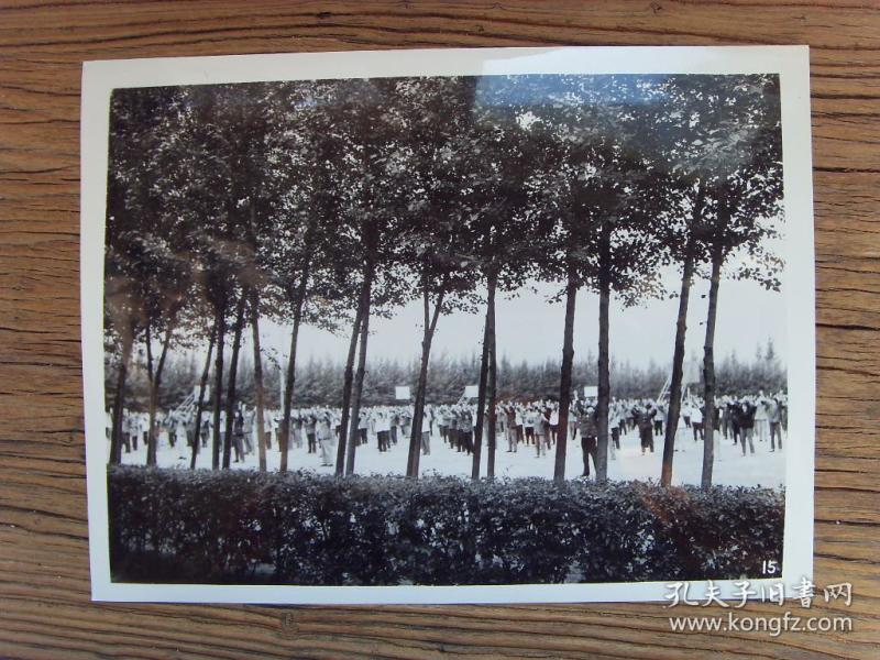 老照片:1977年,吉林省农安县,前岗公社中学的校园绿化