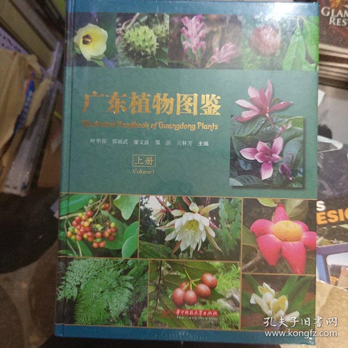 广东植物图鉴上下册共二本