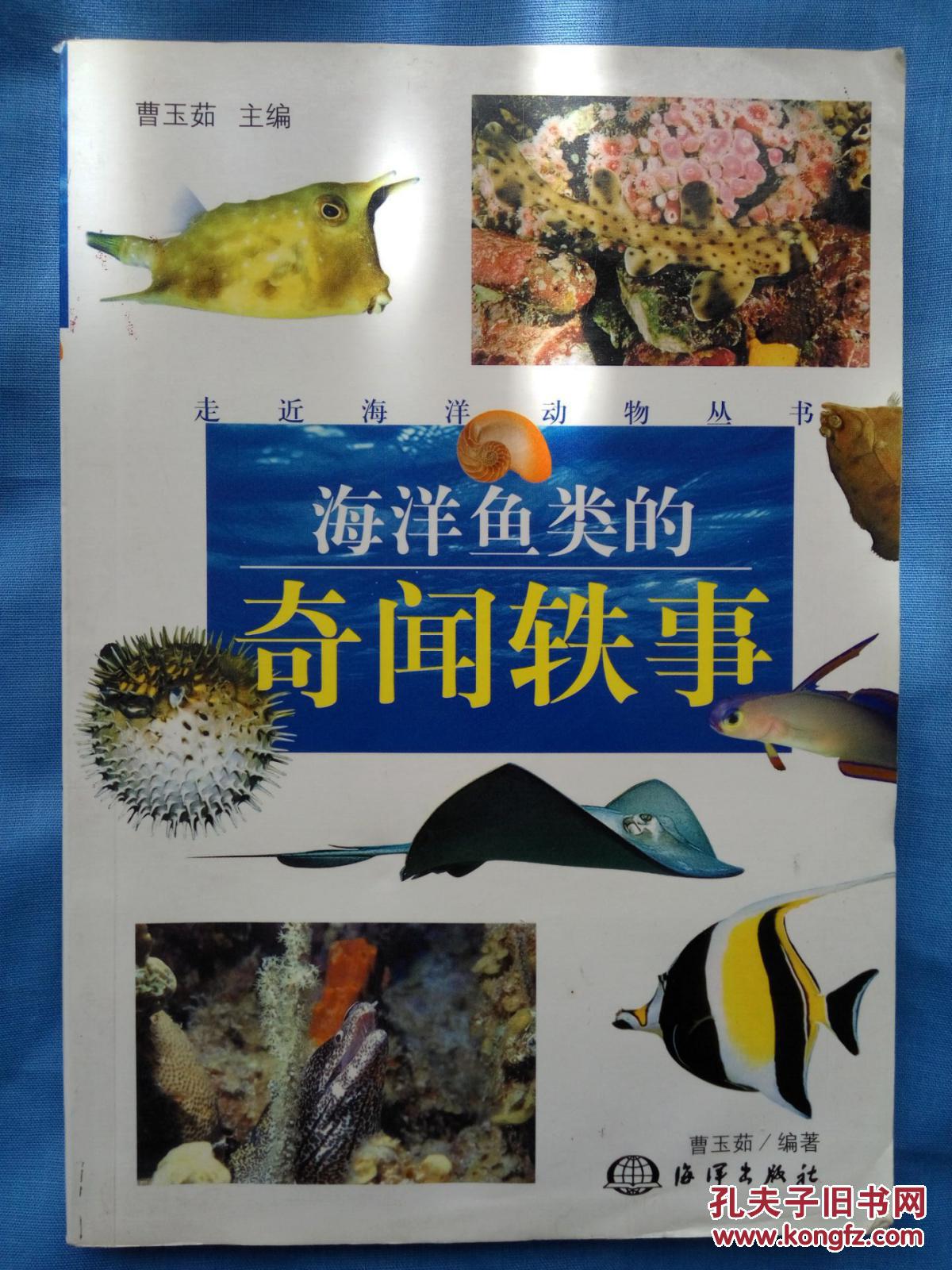 海洋鱼类的奇闻轶事