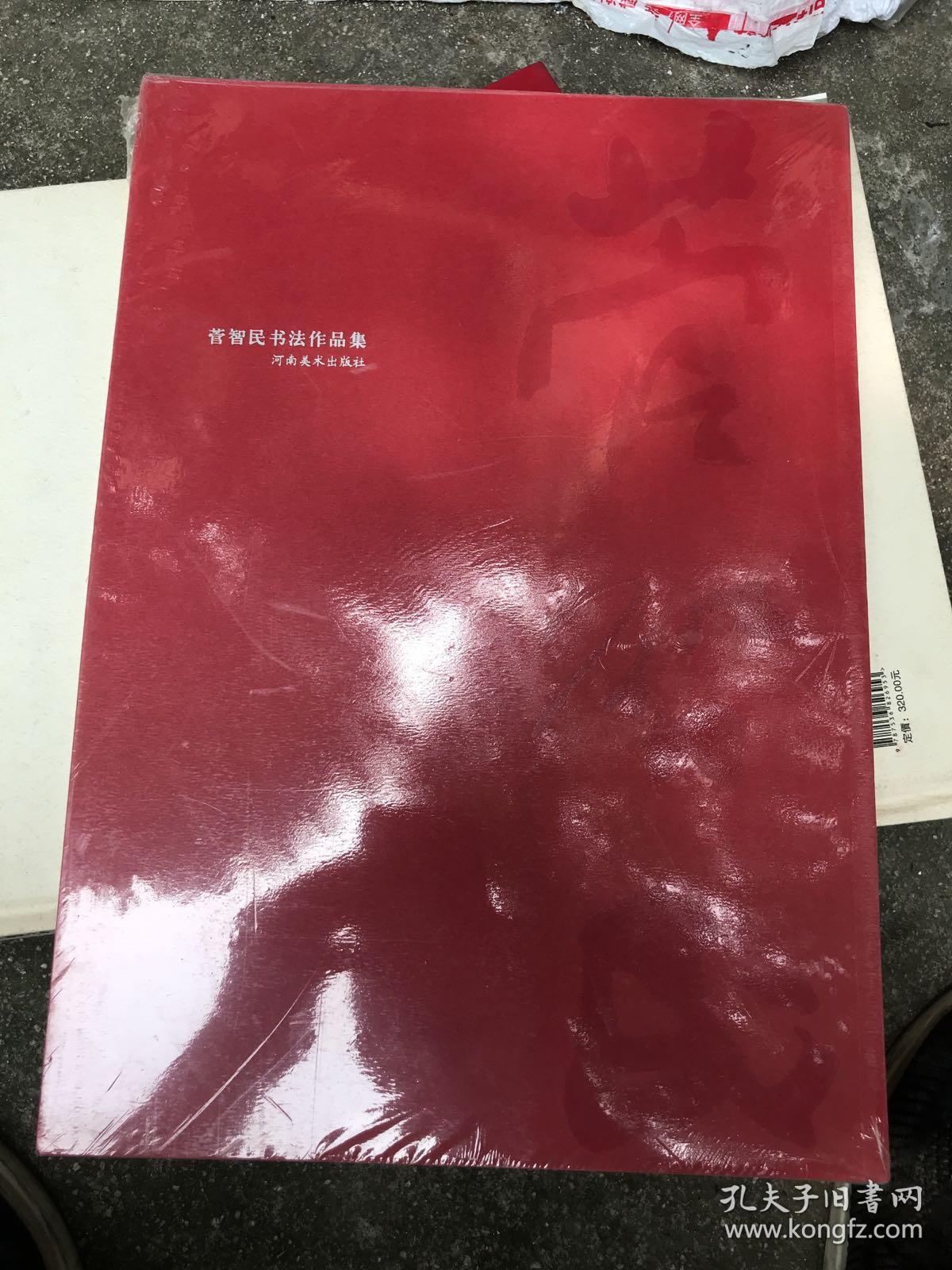 菅智民书法作品集