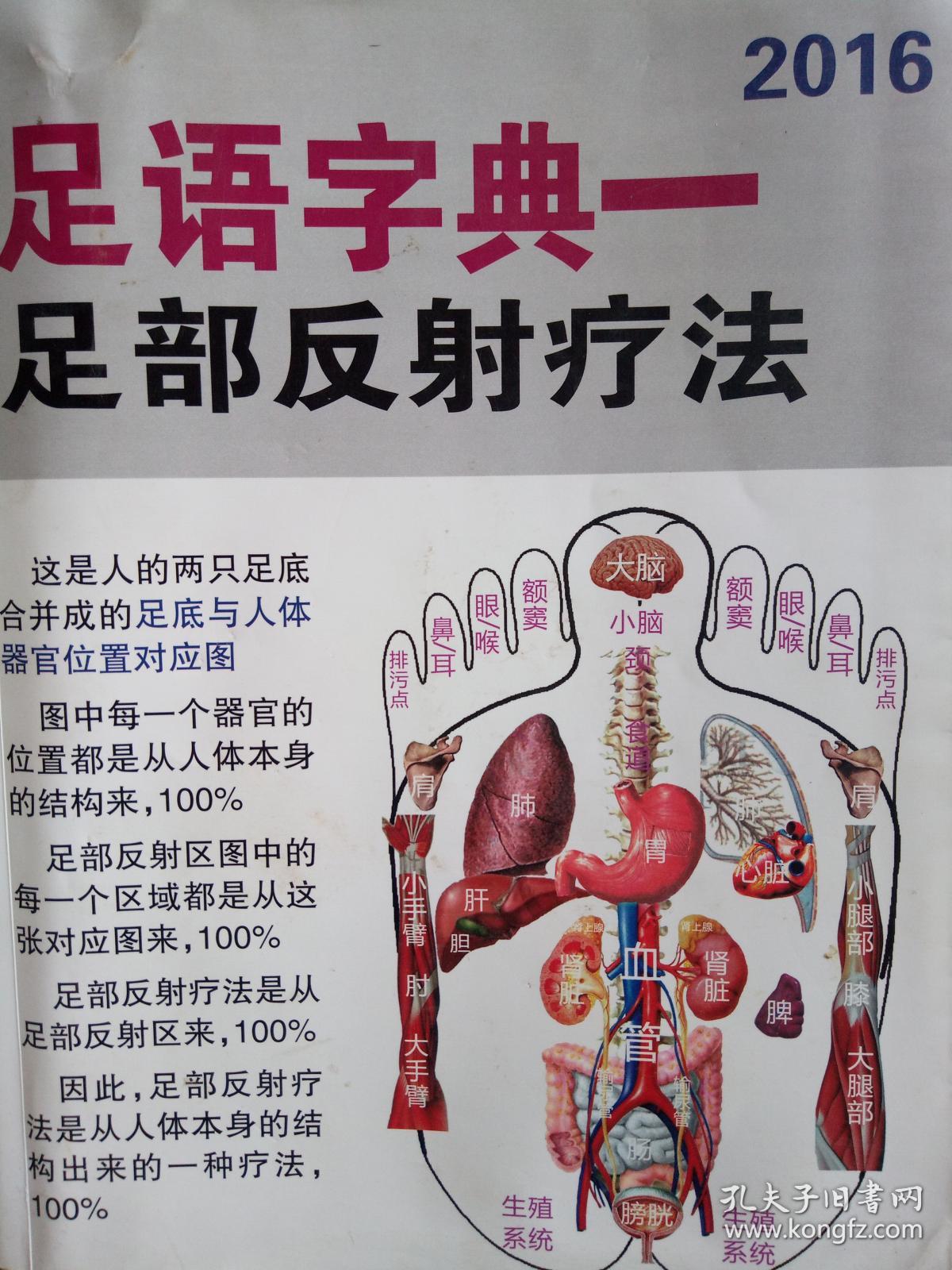 足语字典------足部反射疗法(全新无翻阅)