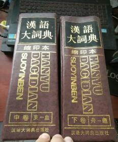 汉语大词典缩印本 中下