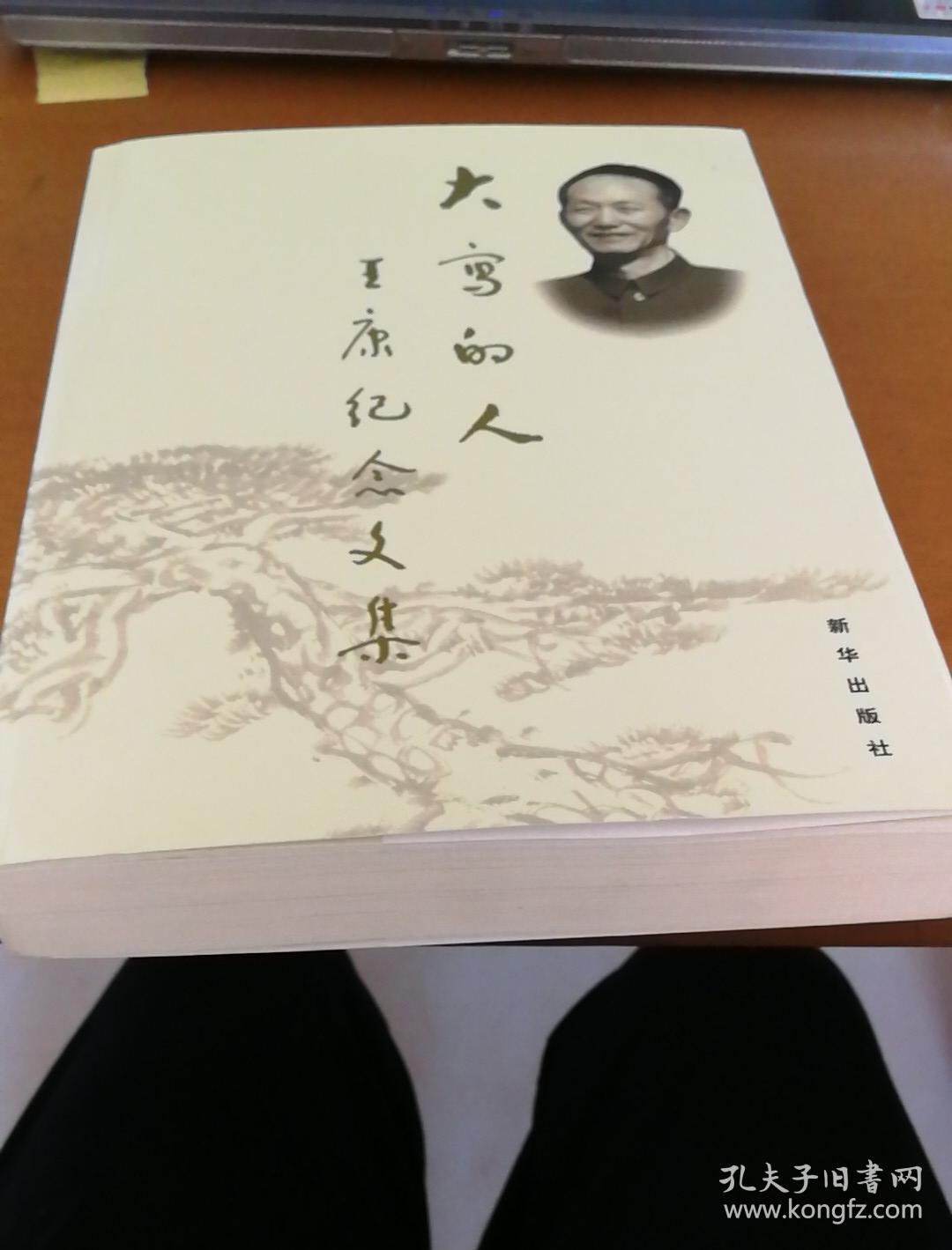 大写的人:王康纪念文集