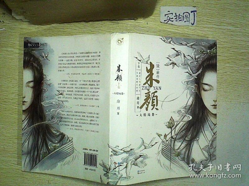 朱颜(下卷 大结局卷)