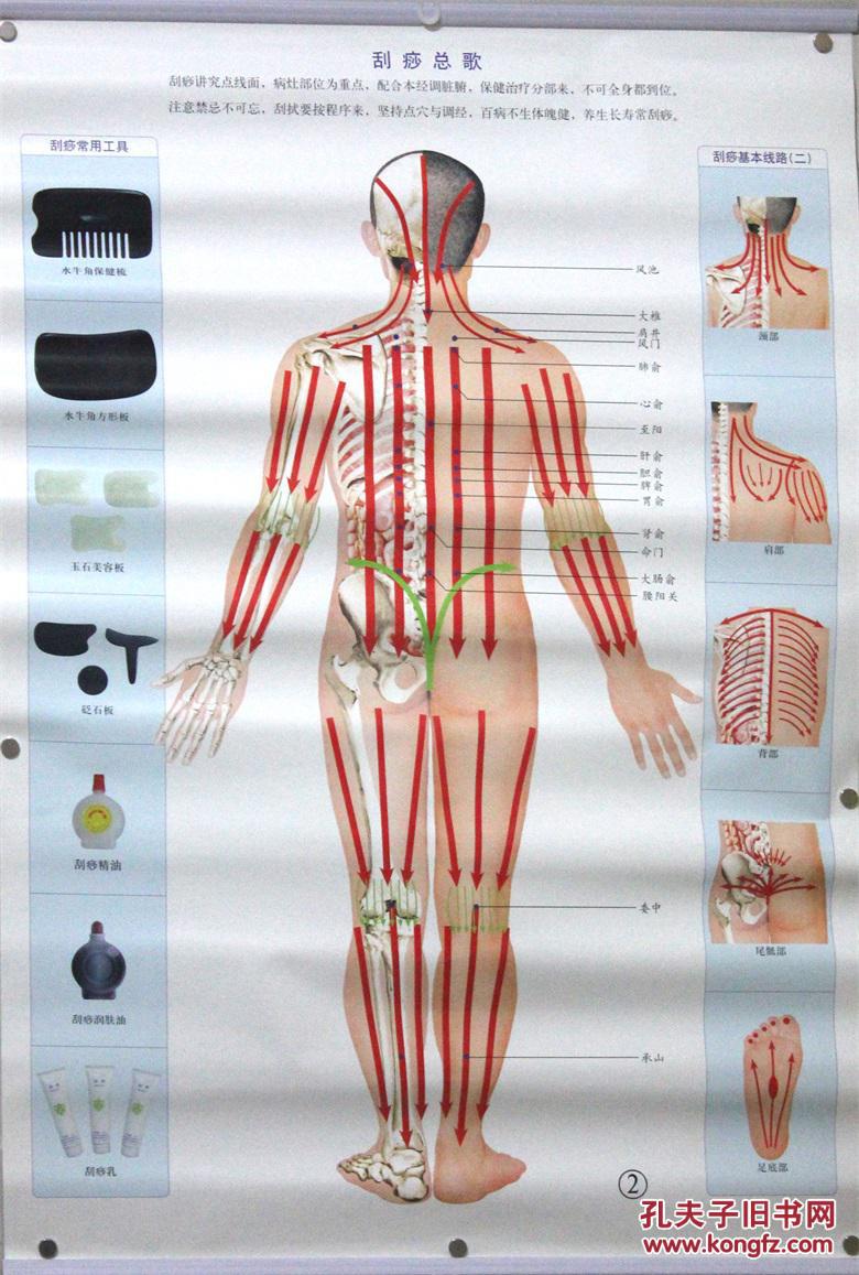 中国刮痧挂图一套:3页 主编:孙煜辉(中国针灸学会砭石与刮痧专业委员