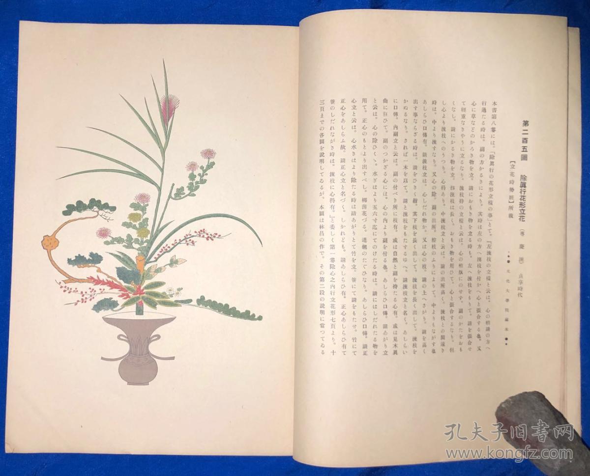 日本花道美术全集 坤三卷 线装特大开本 重森三玲著 1932年 25幅精美花卉图含彩图 重森三玲著 孔夫子旧书网 日本花道美术全集 坤三卷 线装特大开本 重森三玲著 1932年 25幅精美花卉图含彩图 重森三玲著 孔夫子旧书网