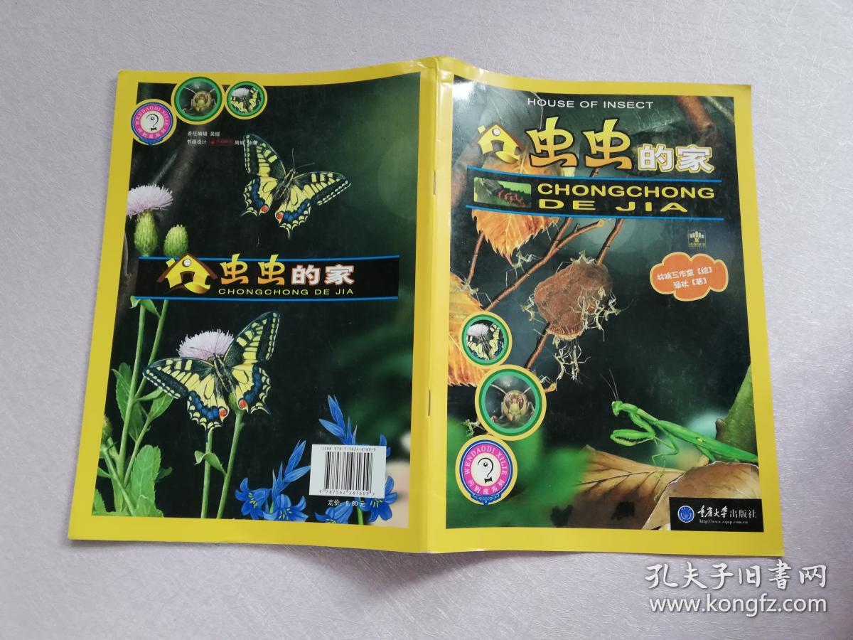 虫虫的家【实物拍图】
