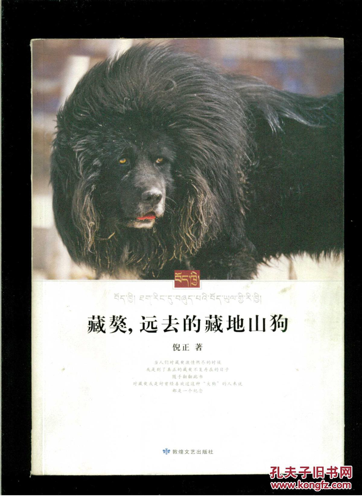 藏獒,远去的藏地山狗(每一页都有精美彩图)(16开平装 铜版彩印图文本