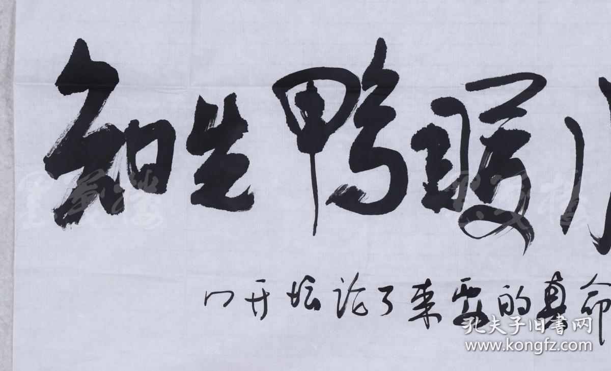 【12元秒杀专区】#每个id每个专题限购一件#著名科学