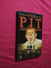 Ann Cheetham The Pit