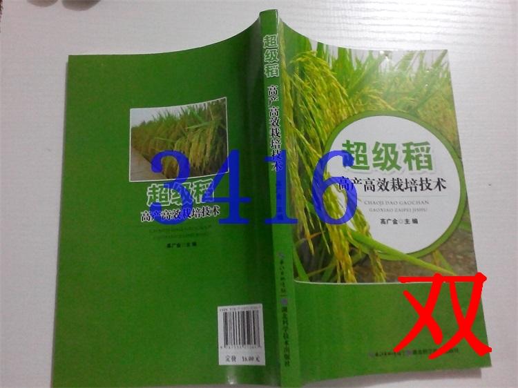超级稻高产效栽培技术