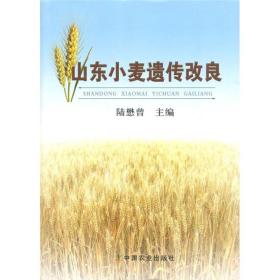 山东小麦遗传改良