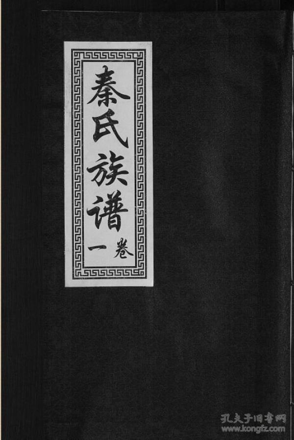 秦氏族谱 山东汶上 原公支 二本 16开 70页 2016年续修 原件模糊不