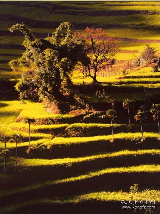 画册 吉祥 临翔(云南临沧)_临翔区委 编著_孔夫子旧书网